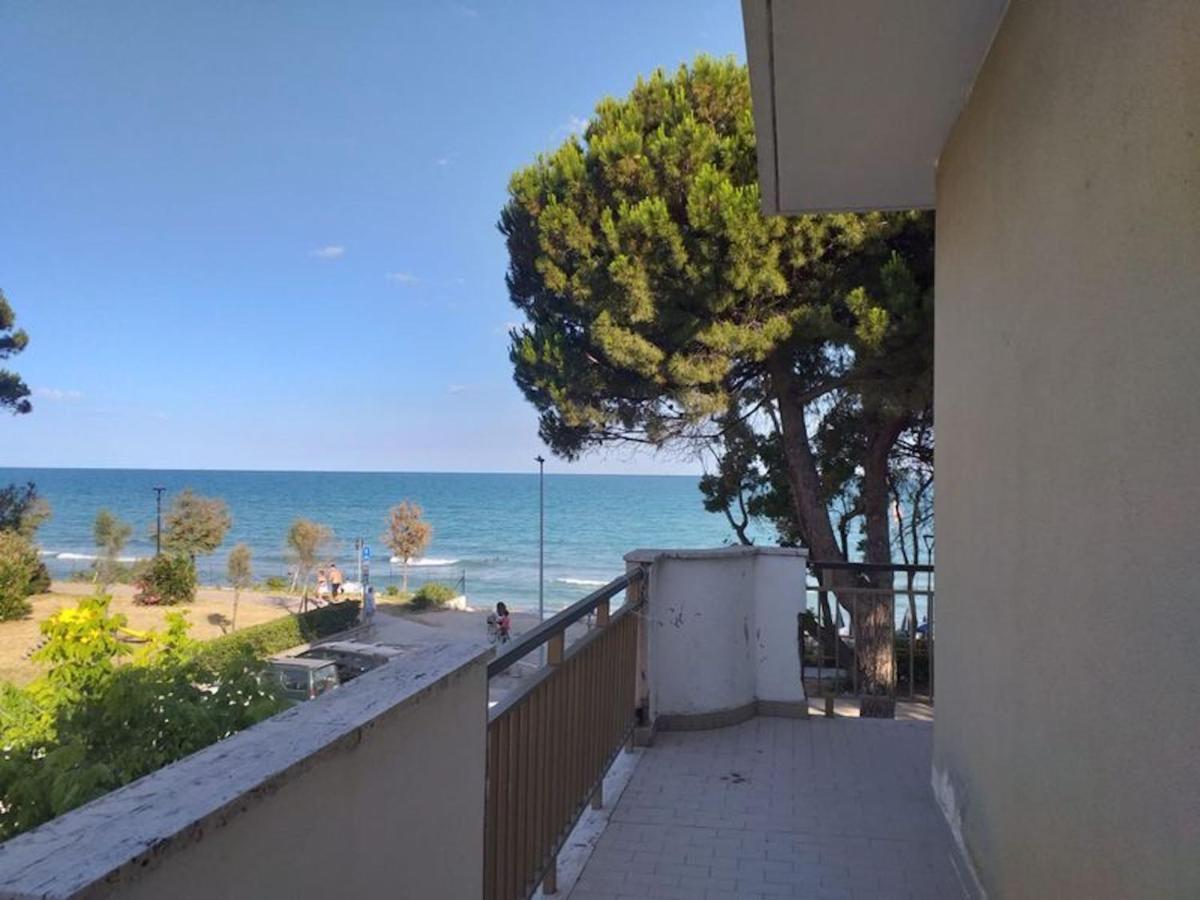 Room In Bb - Spacious Double Room Beside The Sea Pineto Eksteriør billede